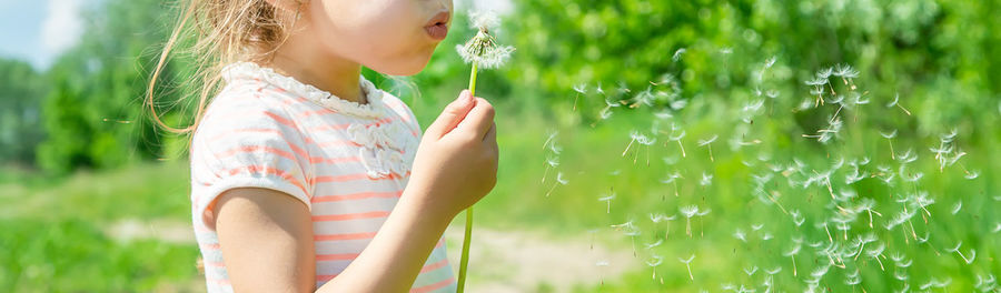 Midsection of girl blowing dandelion on sunny day