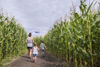 Rear view of people walking on farm