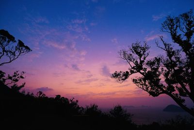 Silhouette trees against sky during sunset