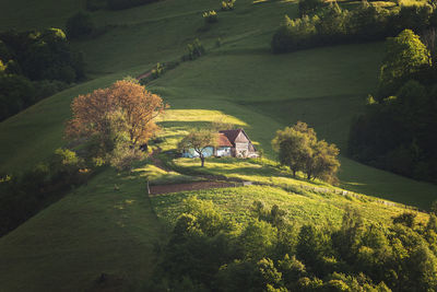 High angle view of trees on landscape