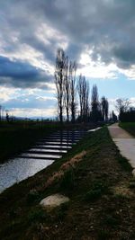 Bare trees on landscape against sky