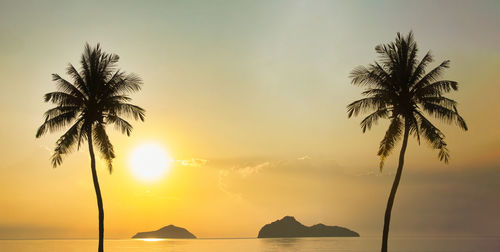Silhouette palm trees on beach against sky during sunset