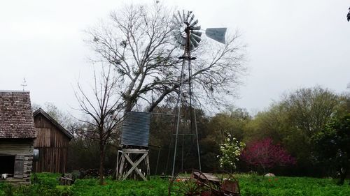 Bare trees with buildings in background