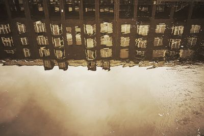 Reflection of trees in water