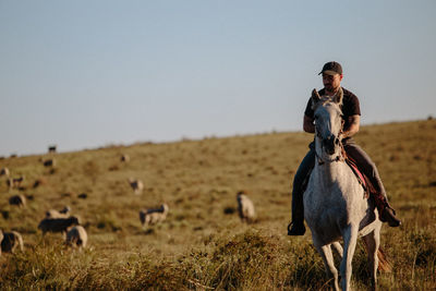 Man riding horse on field