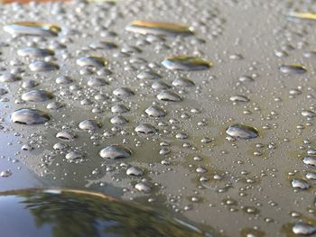 Close-up of water drops on ground