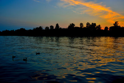 Swans swimming in lake against sky during sunset