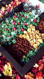 Multi colored flowers for sale in market