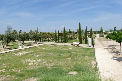 Panoramic shot of trees on field against sky