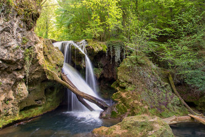 View of waterfall in forest