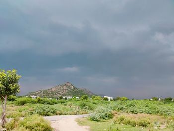 Scenic view of landscape against sky