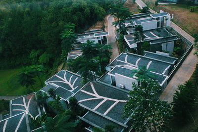 High angle view of trees and buildings
