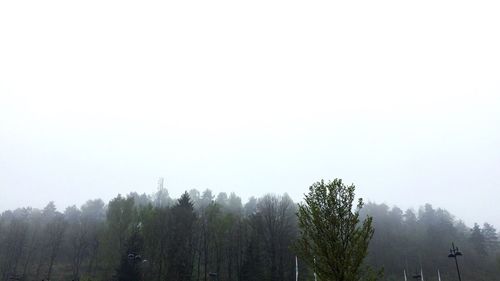 Low angle view of trees against clear sky