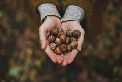 Low section of woman holding chestnuts