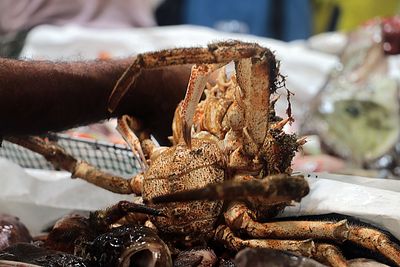 Close-up of food for sale in market