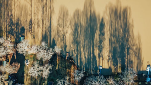 Panoramic view of trees and buildings against sky