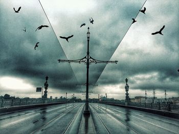 Birds flying over cloudy sky