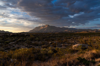 Scenic view of field against sky during sunset