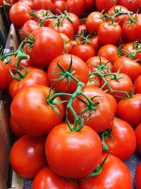 High angle view of tomatoes for sale at market stall