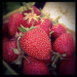 Close-up of strawberries