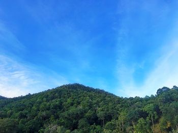 Scenic view of tree mountains against blue sky