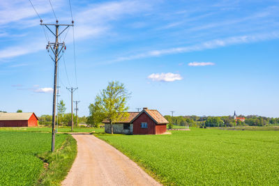 Dirt road to a cottage by the green fields