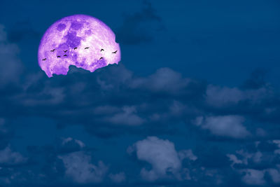 View of jellyfish against blue sky