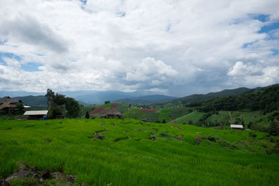 Scenic view of agricultural field and houses against sky