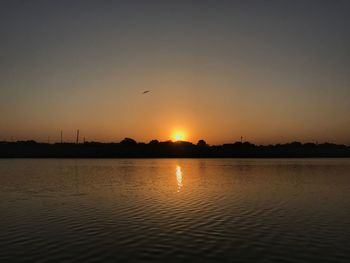 Silhouette bird flying over sea against sky during sunset
