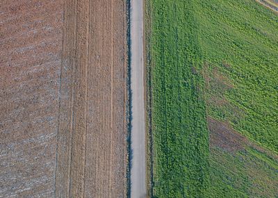 High angle view of agricultural field