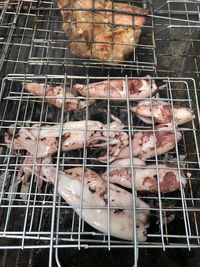 Close-up of food in cage