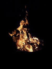 Close-up of fire at night