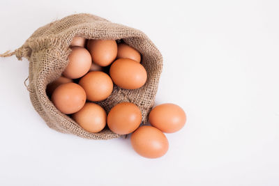 High angle view of eggs against white background
