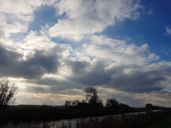 Silhouette trees on field against sky