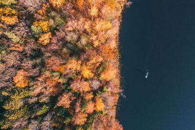 Man floating on a sup board on a calm lake along an autumn forest