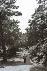 Rear view of man walking on snow in forest