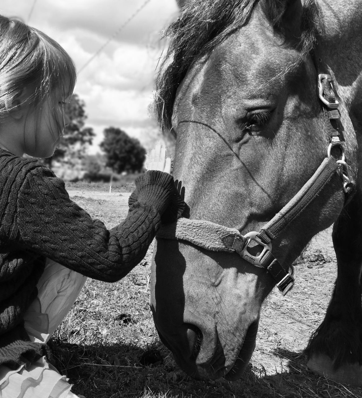 lifestyles, leisure activity, casual clothing, person, day, childhood, outdoors, standing, close-up, sunlight, men, focus on foreground, headshot, holding, field, incidental people, horse