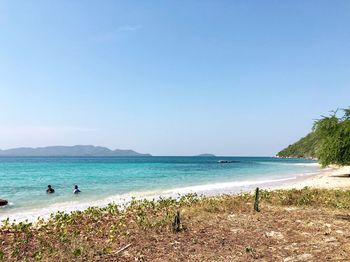 Scenic view of sea against clear blue sky