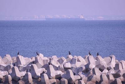 Landscape by the sea in an industrial area