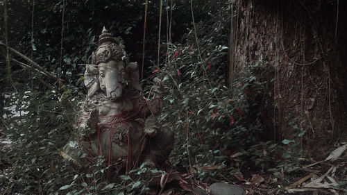 View of buddha statue in forest