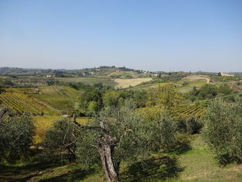 Scenic view of land against clear sky