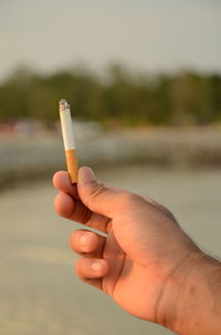 Cropped hand of man holding cigarette