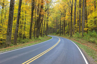 Road amidst trees in forest during autumn