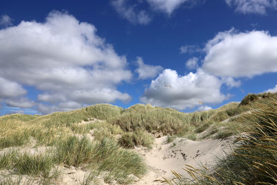 Scenic view of land against sky