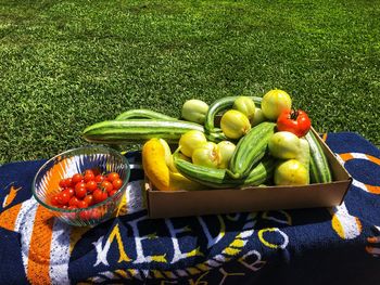 High angle view of fruits in basket on field