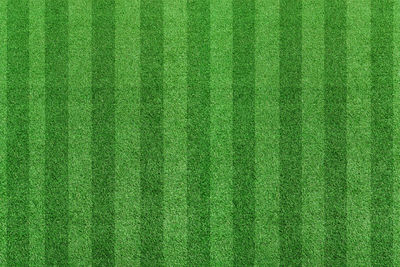 Full frame shot of green leaf