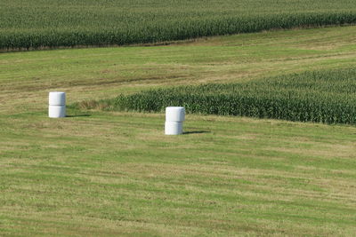 High angle view of field