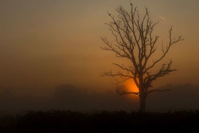 Silhouette bare tree on landscape against sunset sky