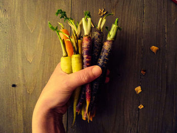 Cropped image of hand holding vegetables