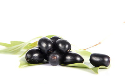 Close-up of blueberries against white background